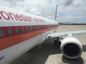 ガルーダ・インドネシア航空 ビジネスクラス搭乗記 ジャカルタ-バンコク B737レトロ塗装（赤） 画像