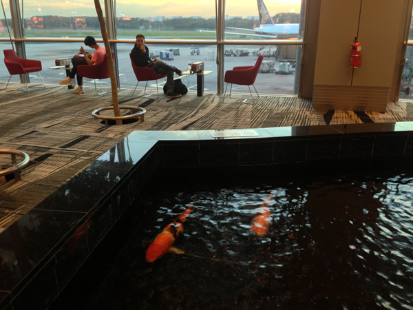 鯉のいる空港ターミナル画像