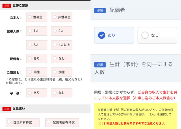 STEP19：家族・世帯情報を入力画像