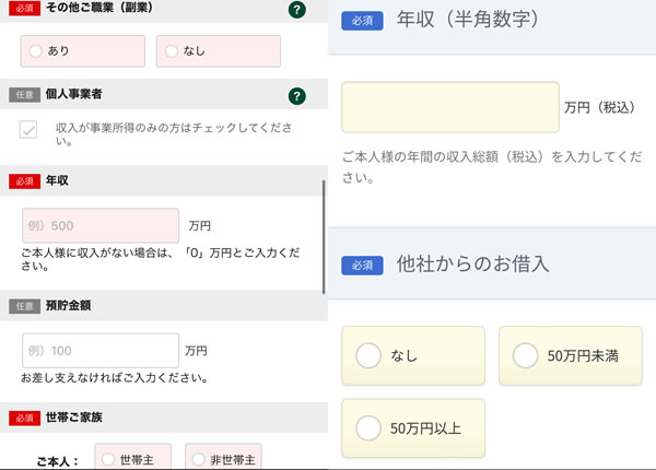 STEP20：年収・資産の情報の入力画像